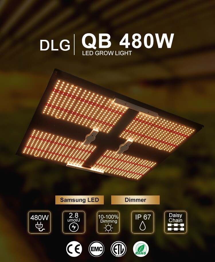 DLG 480 Watt LED Kweekverlichting