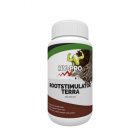 Hy-Pro Rootstimulator Terra – Wortelstimulator voor aardegekweekte planten