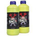 Bac cocos bloei A&B