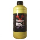 Bac F1 Extreme Booster