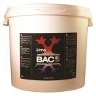 Fles BAC CalMag V2.0 – krachtige calcium-magnesium toevoeging voor gezonde bladgroei, stevige celstructuur en optimale opname