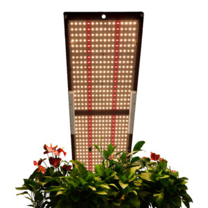 Led kweeklamp DLG 240 Watt