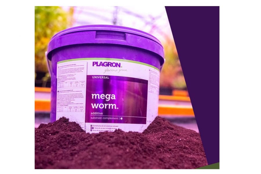 Plagron Mega Worm