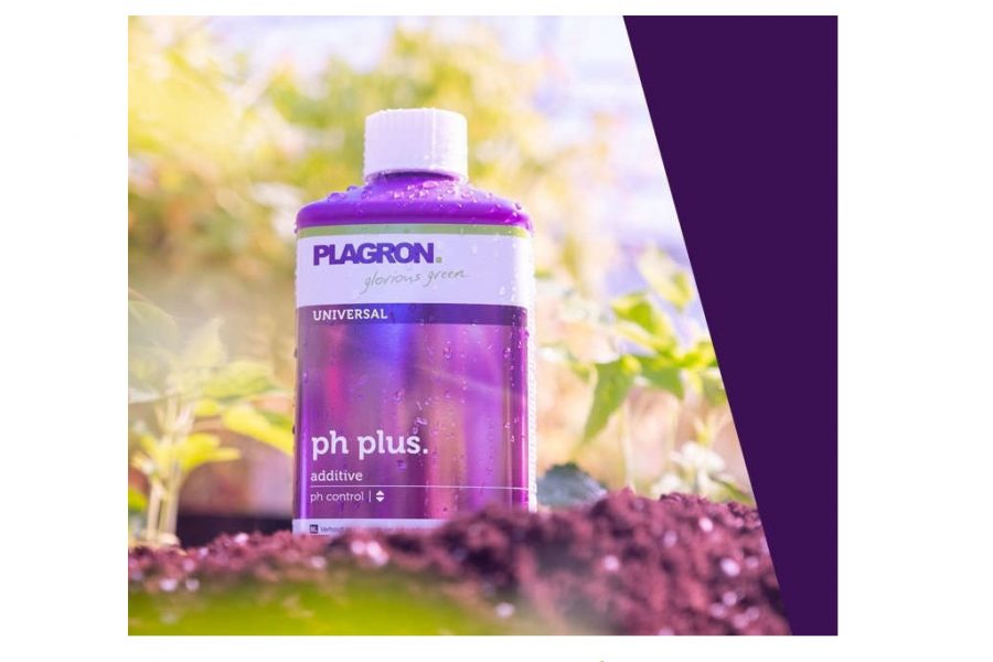PLAGRON PH PLUS
