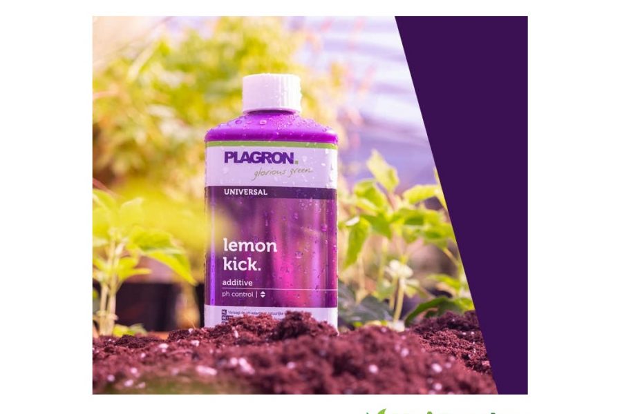 Plagron Lemon Kick 1L