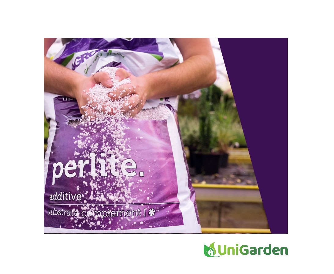 Plagron Perlite