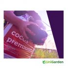 Plagron Cocos Premium 50L