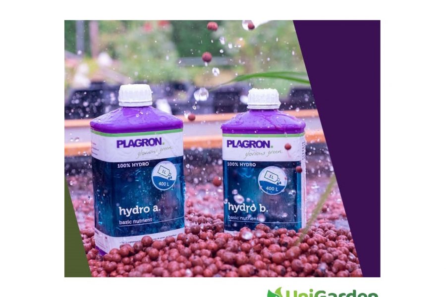 Plagron Hydro A&B
