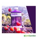 Plagron Sugar Royal