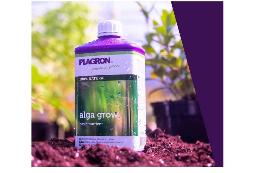 Plagron Alga Bio Grow