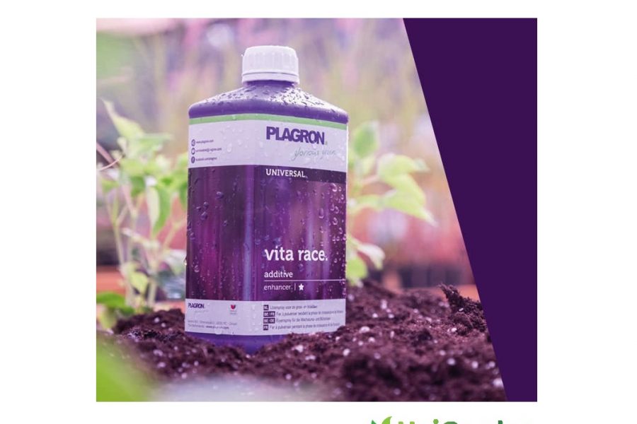 Plagron Vita Race