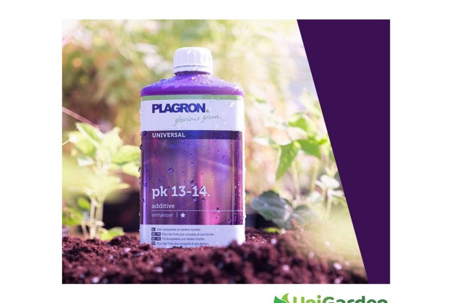 Plagron PK 13/14