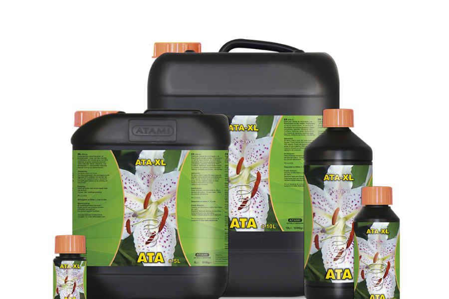 Atami Ata XL