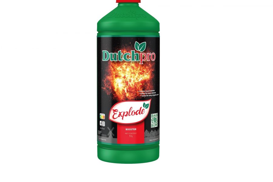Fles Dutch Pro Explode – Bloeibooster voor maximale bloemontwikkeling en opbrengst
