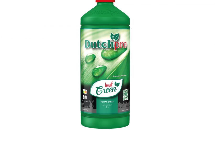 Dutch Pro Leaf Green