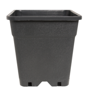 Pot vierkant 25 Liter