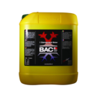 Bac 1 Component Groei Basisvoeding