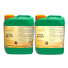 Ferro Standaard Bloei A&B 5 Liter