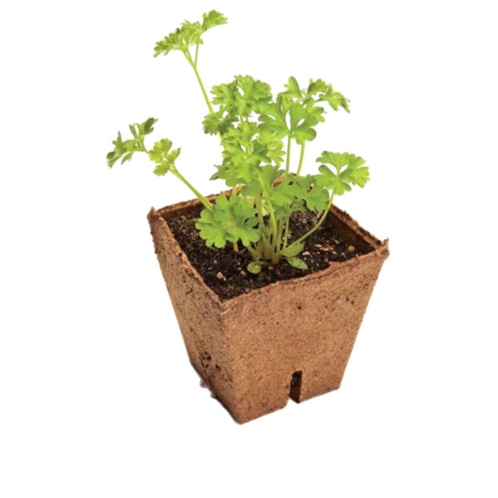 Jiffy Vezel Pot