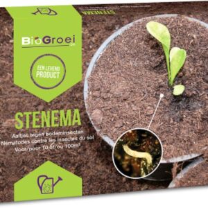 Stenema Aaltjes tegen rouwvliegejes