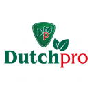 Dutch Pro