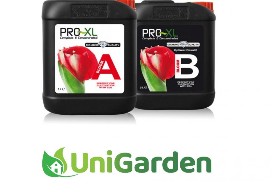 Flessen Pro-XL Bloom A & B – tweedelige bloeivoeding voor een krachtige en rijke bloei.