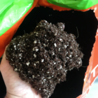 Atamio High Porosity Cocos