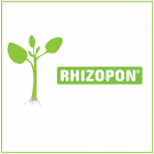Rhizopon