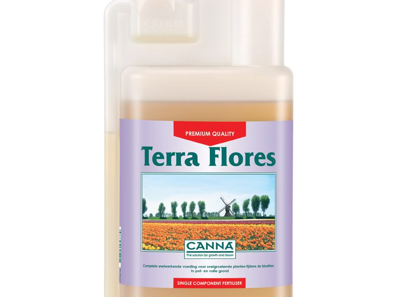 Canna Terra Flores