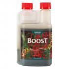 Canna Boost Accelerator 250ml