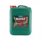 Canna Boost Accelerator 5L