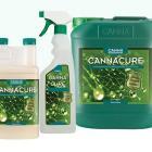 Canna Cure