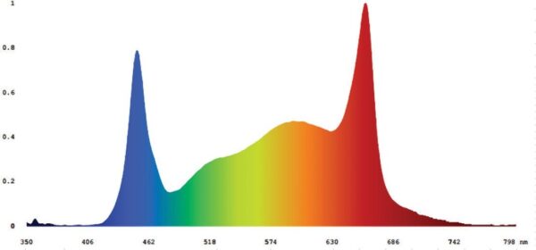 Spectrum Lux Le(t)D