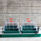 Garland Four Top Propagator