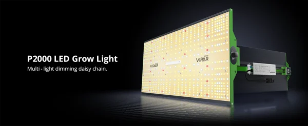 Vipar Spectra P-Serie - Afbeelding 2