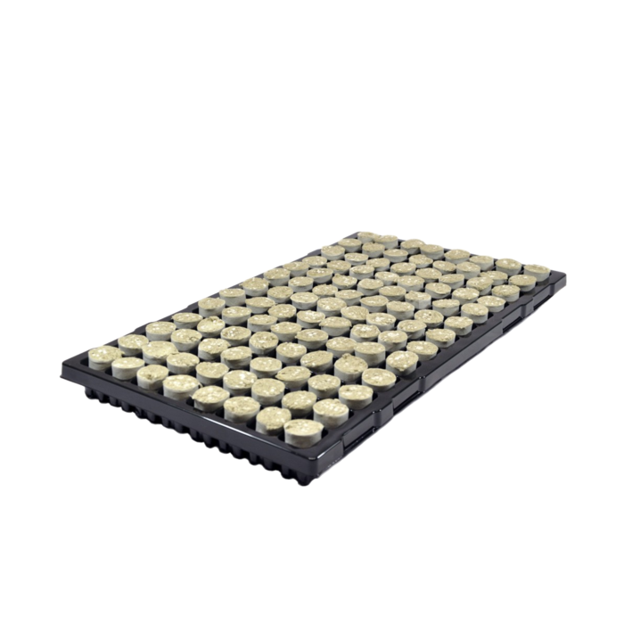 Paperbus Steenwolpluggen