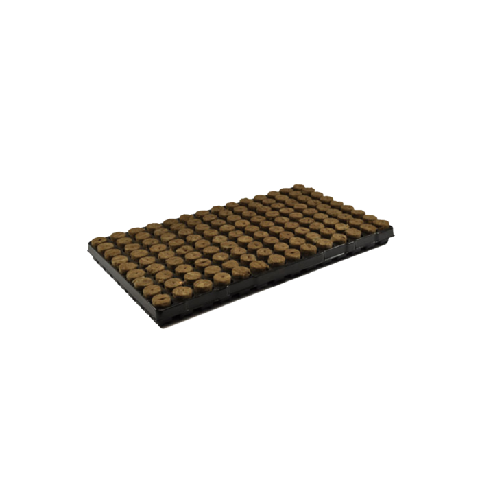 Agra Wool Speedgrow Plug Tray 126 stuks Doos