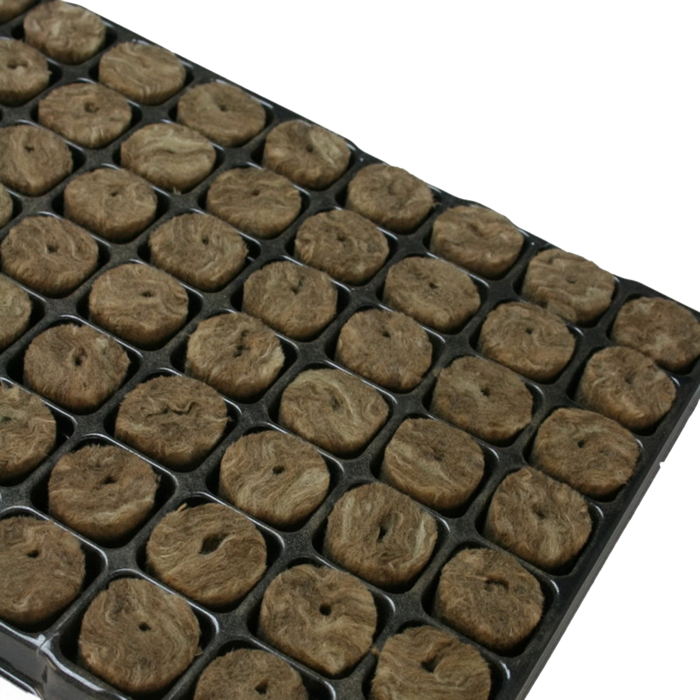 Agra Wool Speedgrow Plug