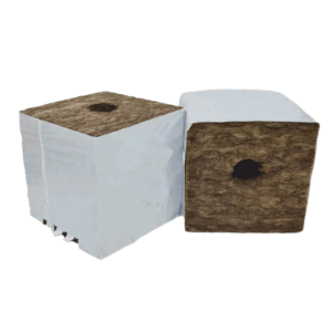 Agrawool Speedgrow Stekblok 10x10x6,5cm