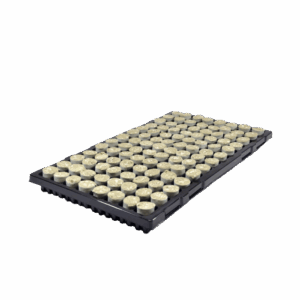 Paperbus Steenwolpluggen