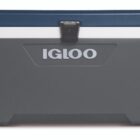 Igloo Maxcold Latitude 70