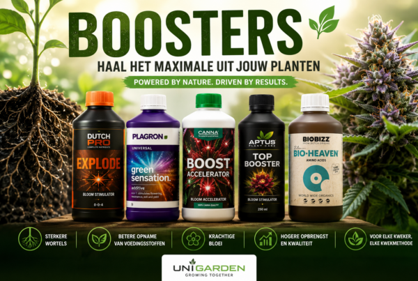 Boosters