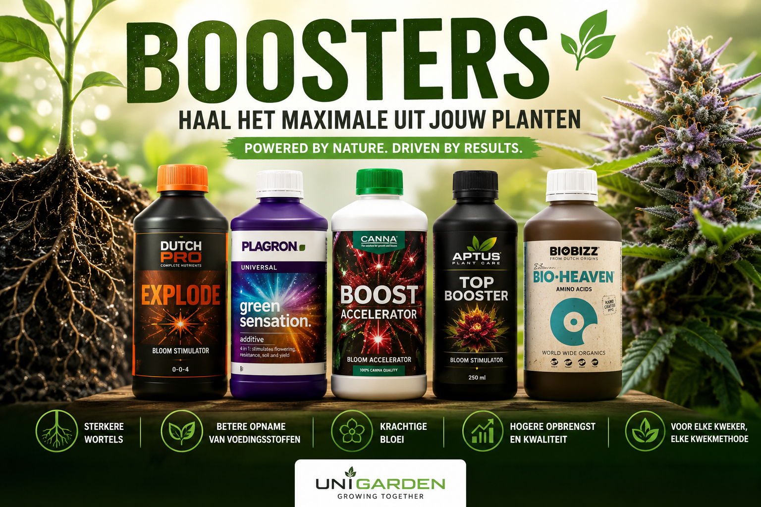 Boosters