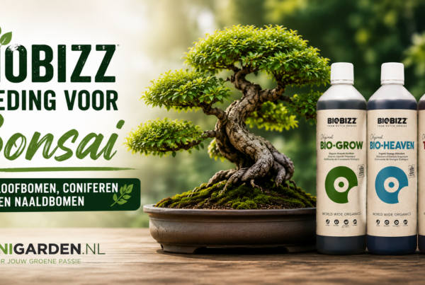Biobizz palnten voeding voor Bonsai