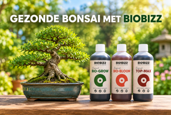 Biobizz voor Bonsai